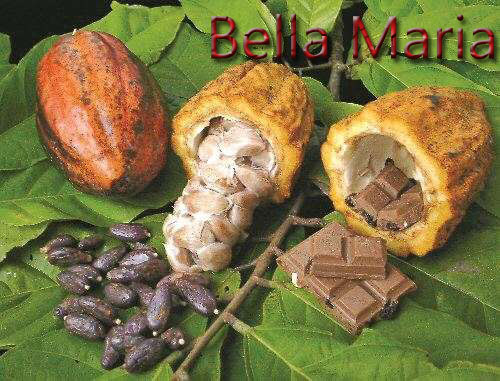 Bellamaría